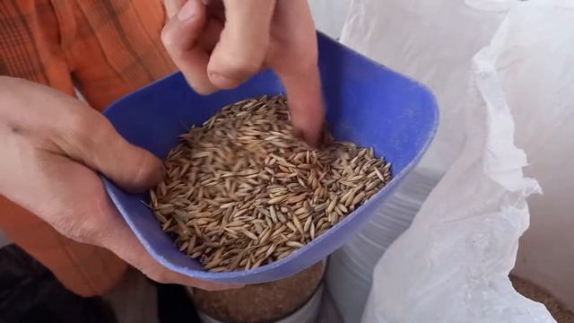 Как приготовить хороший субстрат для рейши и шиитаке!/How To Make  Substrate For Reishi  Mushrooms!