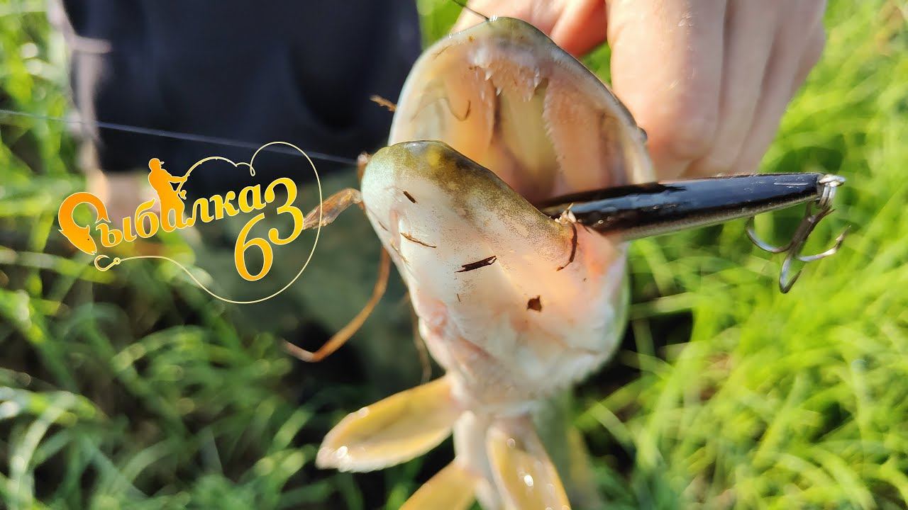 Вот мы и закрыли спиннинг с берега. Рыбалка в начале лета на хищника смотреть онлайн