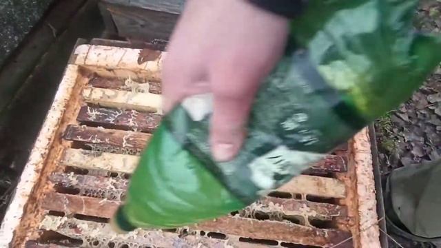 поздняя обработка от клеща на морозе смотреть онлайн