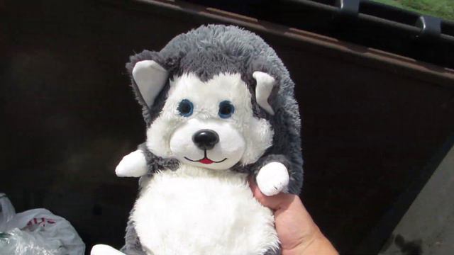 Found Mystery Suitcase Dumpster Diving #289 Whats Inside смотреть онлайн