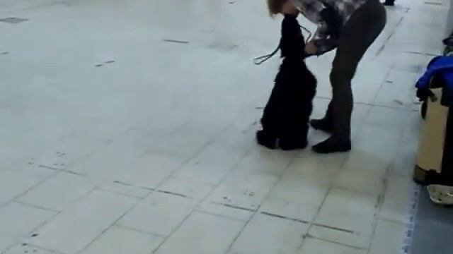 разминка смотреть онлайн
