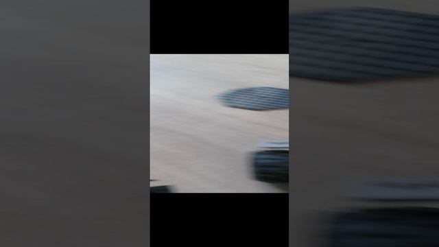 Я попал в юрский периуд и построил дом