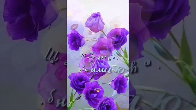 ... чтобы на земле было больше поцелуев.... смотреть онлайн