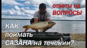 Как поймать сазана на течении. Ответы на вопросы подписчиков..mp4