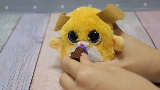 Игрушка furReal FUZZALOTS интерактивная с бутылочкой в ассортименте смотреть онлайн