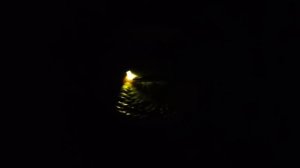 Наплавка алюминия сварка.  Аргон.  АДС