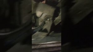 Двигатель 4216 пропало давление масла.