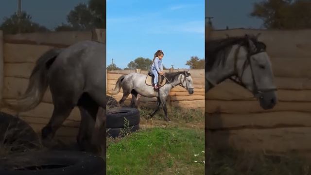 Верховая езда. Лошади. Второе занятие по верховой езде смотреть онлайн