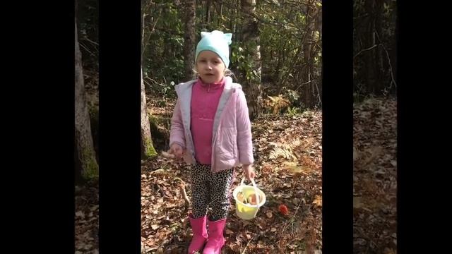 Проект Софии Свиридовой Суп из экологически чистых грибов смотреть онлайн