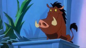 15 АКУНА МАТАТА