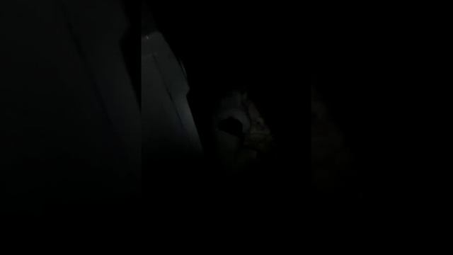 Вызов духов вызов Салли(она пришла) смотреть онлайн