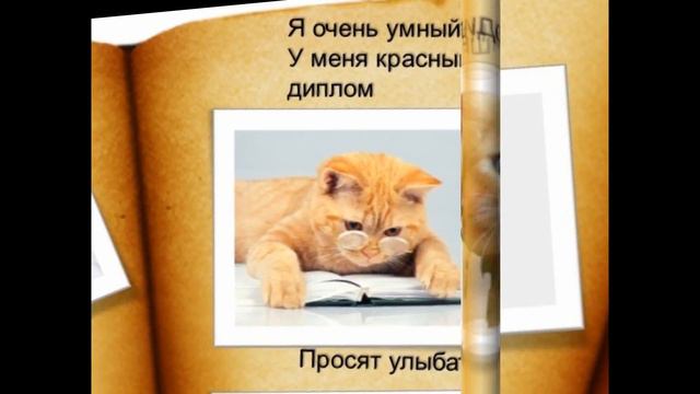 Фотоальбом для кота смотреть онлайн
