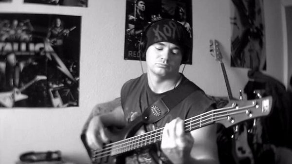 Сплин - Моё сердце (bass cover)