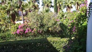 Турция, Кемер Отель Emelda Sun Club   номер дуплекс