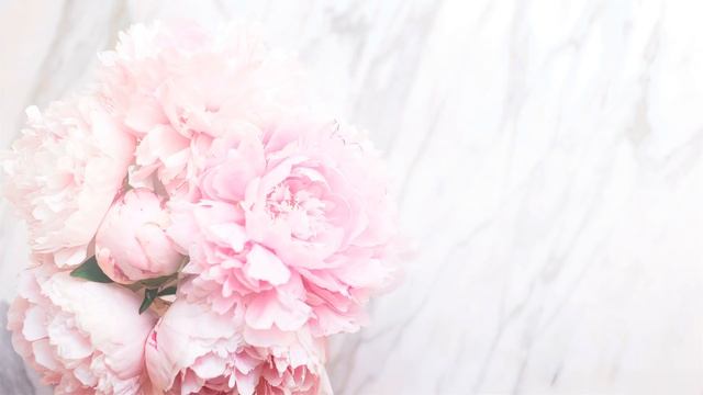 ПРАЗДНИЧНЫЕ ПЛАТЬЯ ? ДЛЯ ТОРЖЕСТВА ИЛИ ЮБИЛЕЯ ❤ Белорусский трикотаж 2020 - Светлые цвета