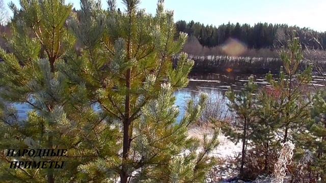 День Агафия. 3 ВАЖНЫХ ДЕЛ в этот день! Народные приметы 5 февраля. смотреть онлайн