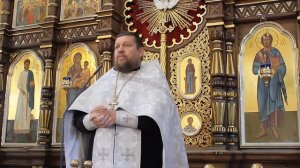 Проповедь. Неделя 9-я по Пятидесятнице. Хождение по водам