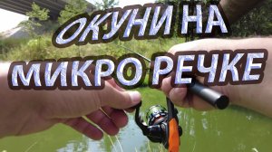 На окуня со спиннингом. Окуня на джиг. Небольшие окушки.