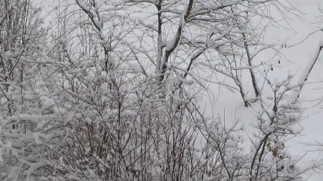 Белым снегом запорошило смотреть онлайн