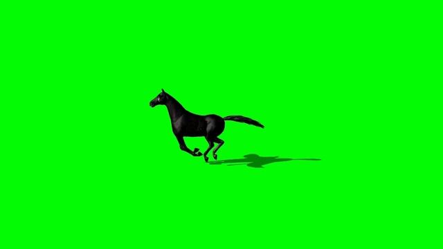 Pegasus green screen 2 смотреть онлайн
