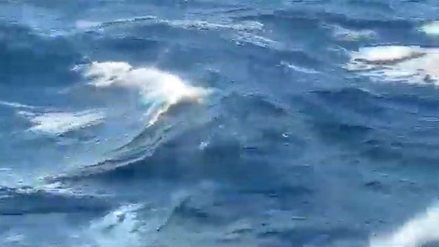 Северное море смотреть онлайн