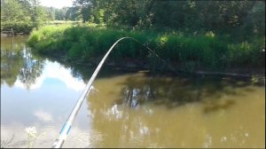 Рыбалка 7 июня на малой реке на поплавок и снова отличный улов!