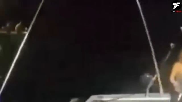 То, Что Рыбак Заснял На Свою Камеру, Потрясло Весь Мир смотреть онлайн
