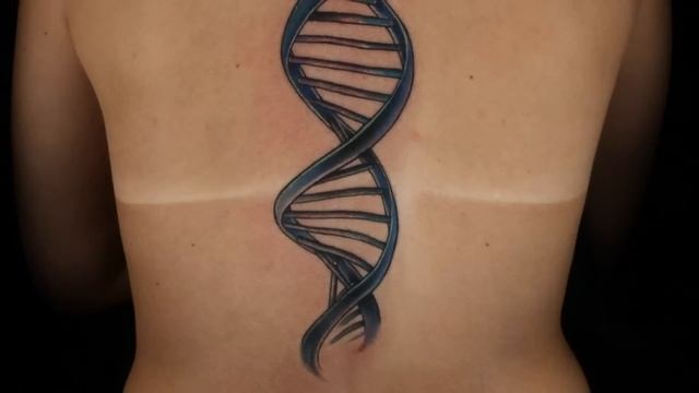 Most Challenging Spine Tattoos ? Ink Master смотреть онлайн