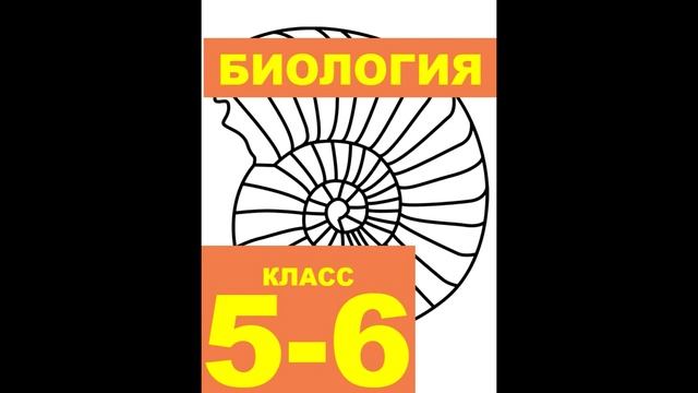 § 34 Движение веществ у животных смотреть онлайн