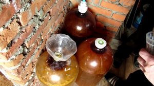 Берёзовый сок на бражку....