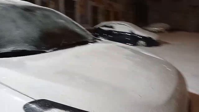 Пятница , семь утра. Везëм 15-ть котеек ПРЕДАННОГО СЕРДЦА в клинику на стерилизацию.