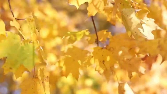 #61 Как Перестать Злиться и Раздражаться смотреть онлайн