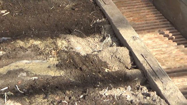 А у нас во дворе... 23 февраля. смотреть онлайн