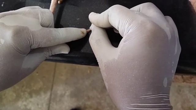 Blood Glucose Measurement in Rats смотреть онлайн