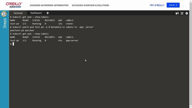 kubectl patch to update kubernetes objects смотреть онлайн