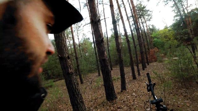 Первые 50км на велосипеде. Осенний лес в селе Волчанское. Катаю и изучаю новые места. смотреть онлайн