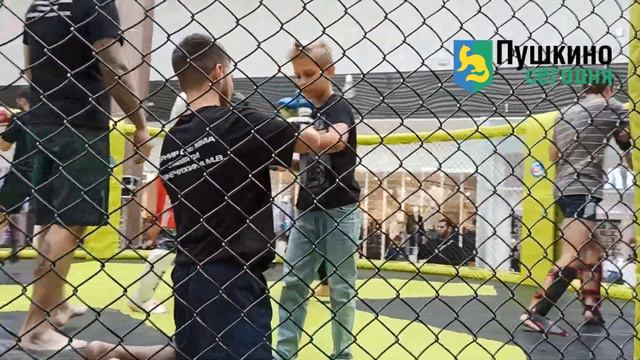 Иван Шмонин, руководитель Союза экстремальных видов спорта «Extreme Team», о соревнованиях в Пушкин смотреть онлайн