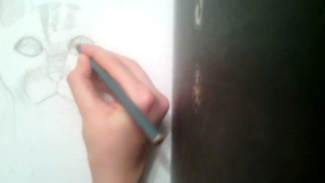 Рисую кошку карандашом смотреть онлайн