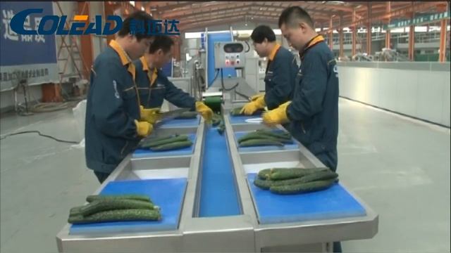 Рабочие столы на несколько человек с отводящим и подающим транспортером смотреть онлайн