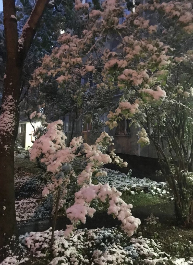 Погода и природа в Москве на майские праздники 2024 года смотреть онлайн