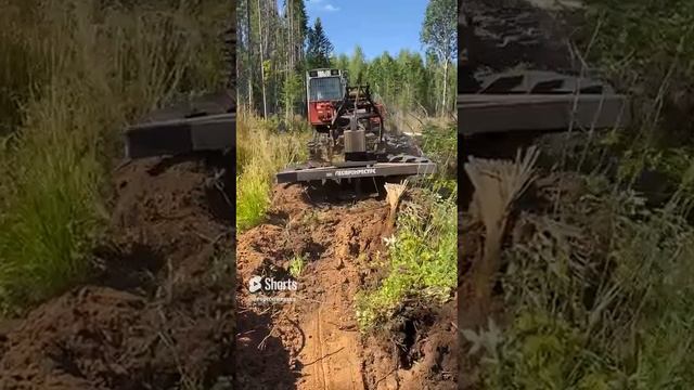 ПЛП-135 ТТ-4 Леспромресурс - подготовка почвы под посадку лесных культур смотреть онлайн