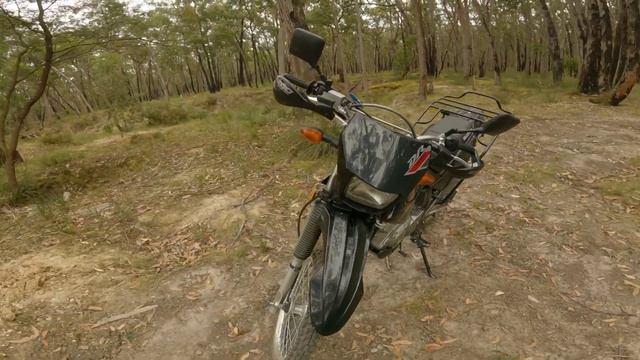 Why buy a Suzuki DR200s ? смотреть онлайн