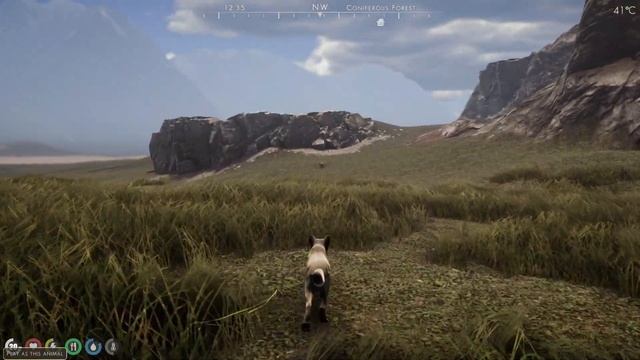 Into the Great Unknown! | The WILDS: Willow's Tale #5 смотреть онлайн