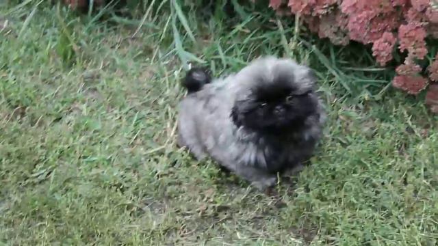 MVI 4177 смотреть онлайн