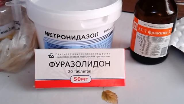 Пропойка взрослых индюков//Пропойка с любого возраста. смотреть онлайн