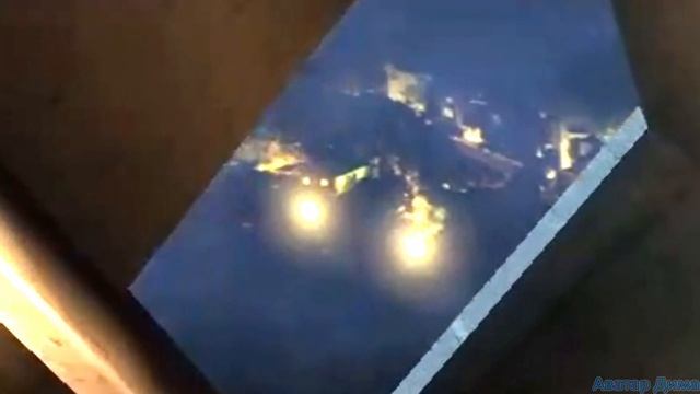 Миссия Дарвина | Игра за 2 минуты