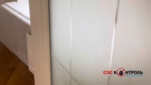 Удаление плесени в квартире. Обработка стен от черной плесени