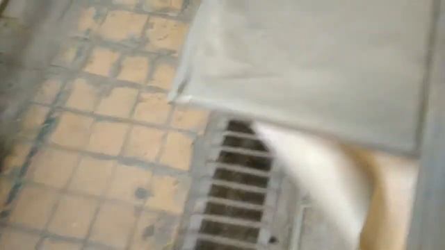 Теплые Навыки