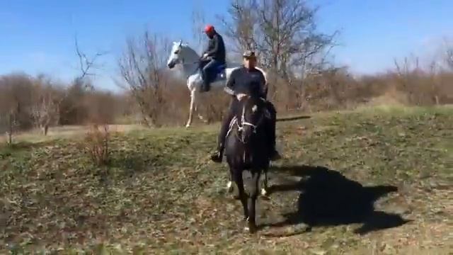 ЦЕНТАРОЕВСКИЙ ИСТЕБЛИШМЕНТ РАЗВИВАЕТ ЧЕЧЕНСКИЕ КОННЫЕ ПОЛКИ смотреть онлайн