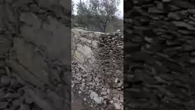 забор из камня 15.04.2020 г. смотреть онлайн